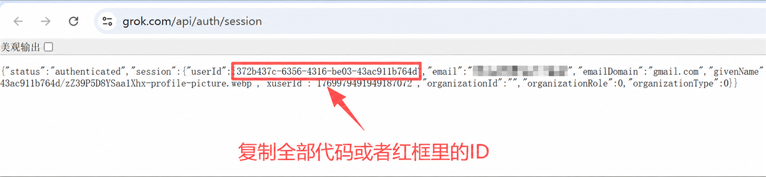 从 Grok Session 页面复制用户 ID