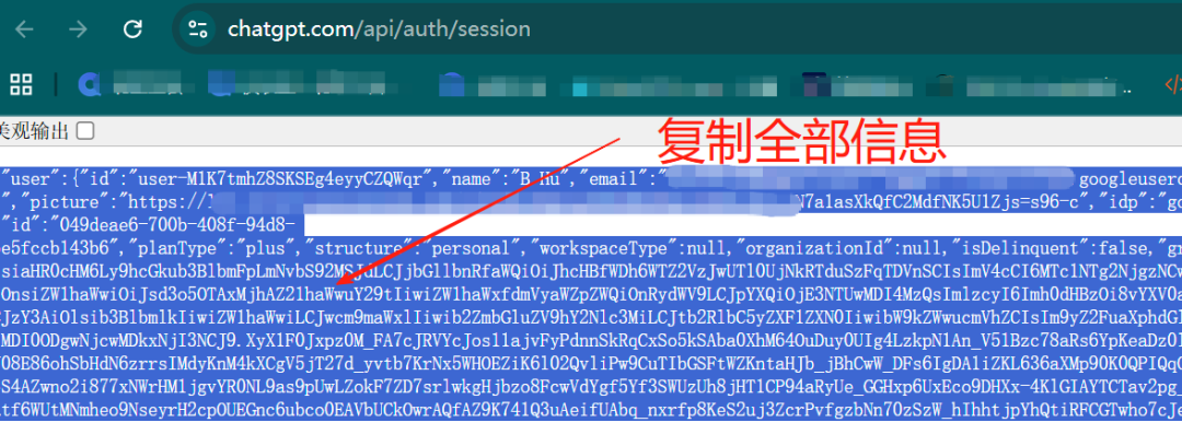 复制 API Session 页面中的全部内容